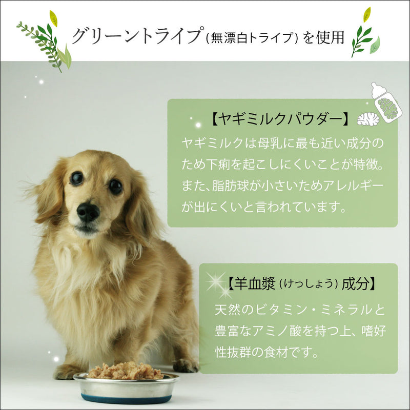 超格安価格 ファンタジーワールド NUTRIPE ラムグリーントライプ 95g x