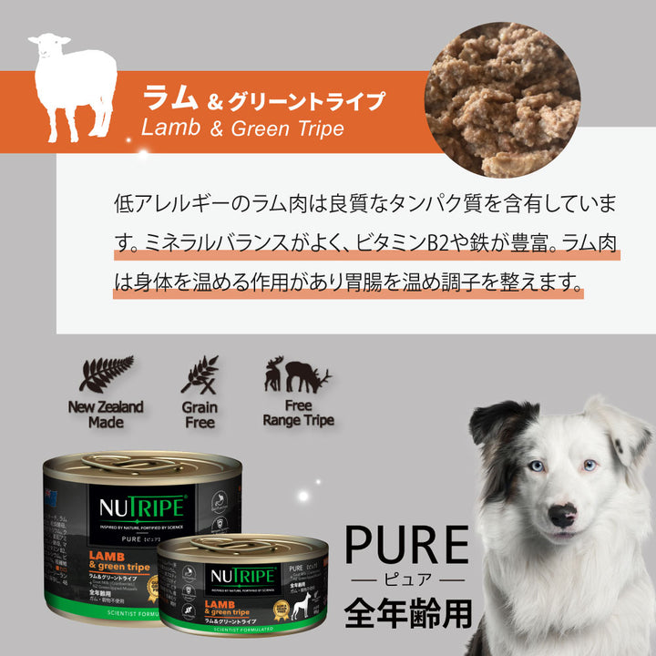総合栄養食 穀物不使用 ドッグフード 犬 NUTRIPE ニュートライプ