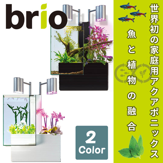 ブリオ brio 水槽 フルセット 東日本50Hz 家庭用 アクアポニックス