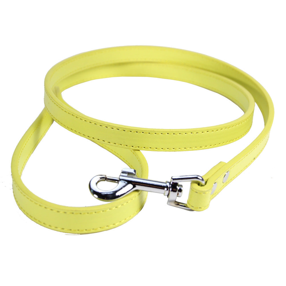 Dog Leash | Durable, Waterproof, and Easy to Clean