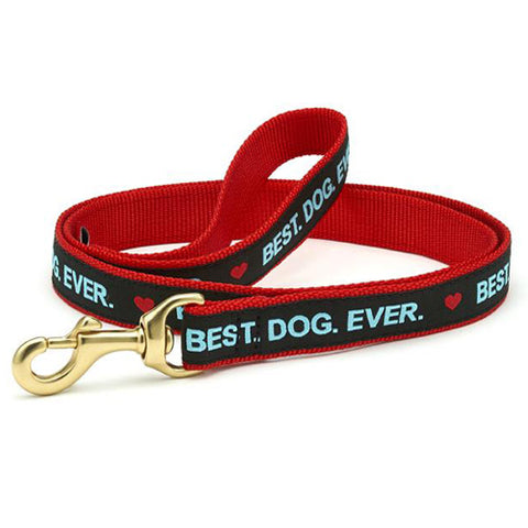 best dog ever leash