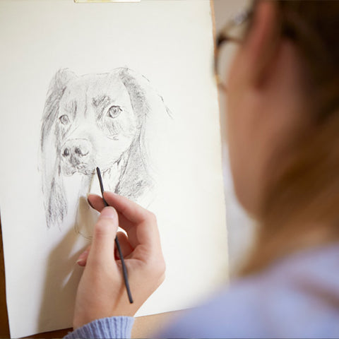 drawing picture of dog