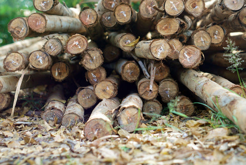 A bundle of eucalyptus wood on the ground.