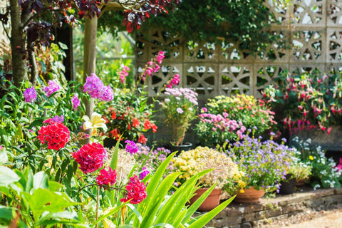 Beautiful backyard garden full of colorful flowers in pots and containers with the stone wall on the back, selective focus