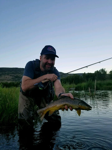 An evening brown trout on a elk hair caddis