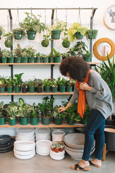 A woman browsing through a variety of potted plants in an indoor plant shop.