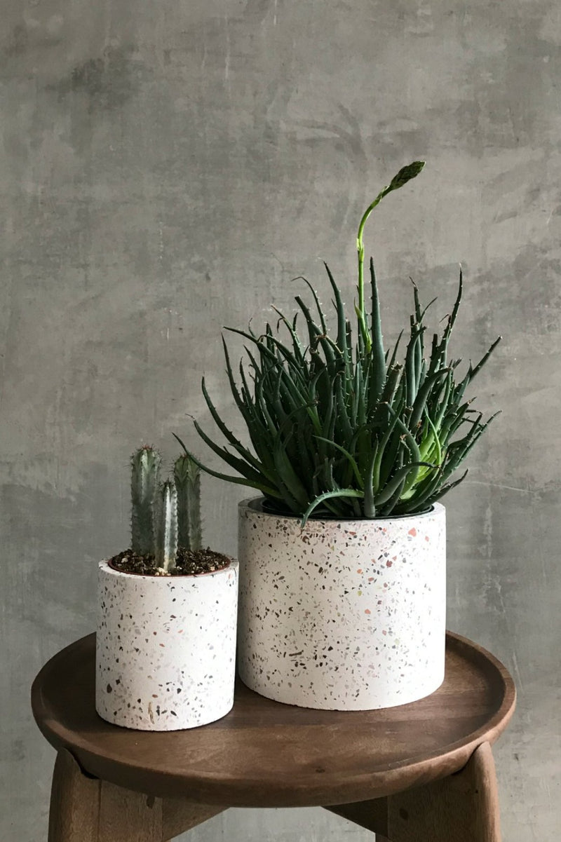 Pygmalion Uitsluiten veiligheid White Terrazzo Pot – ECOVIBE