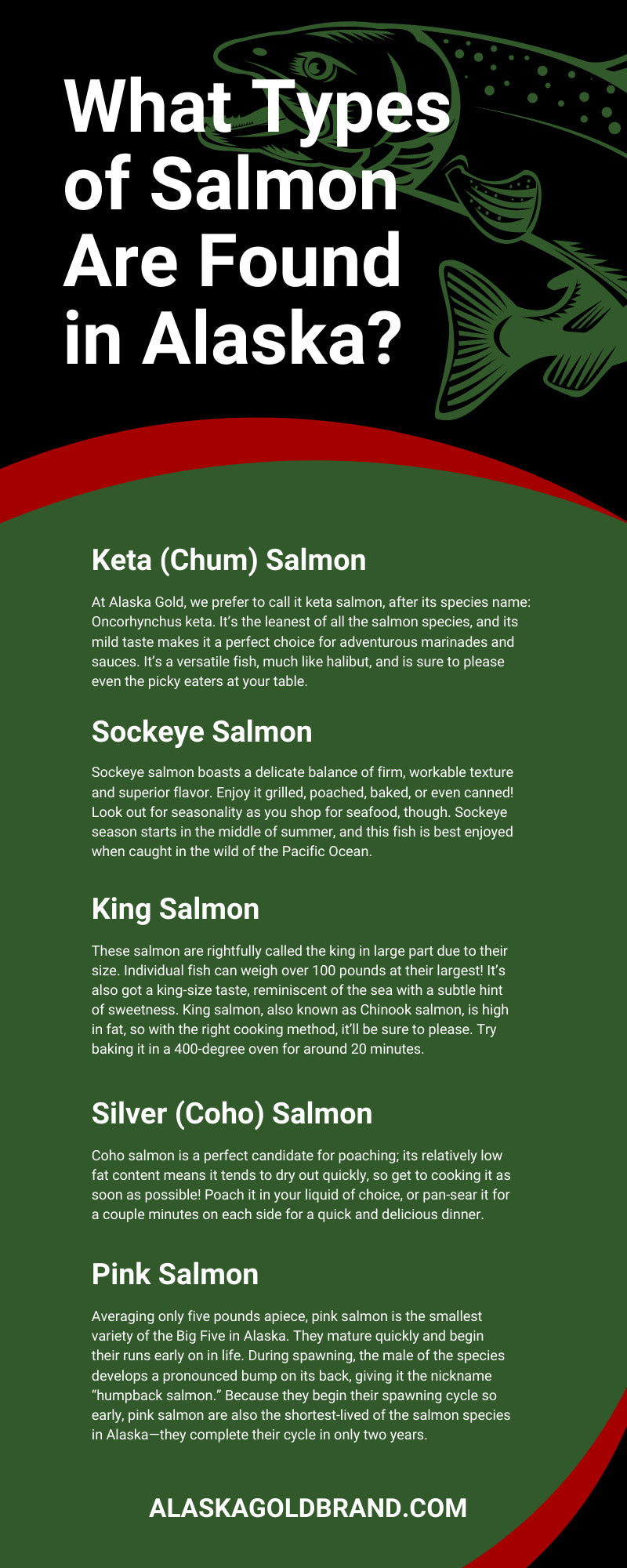 What Types of Salmon Are Found in Alaska?