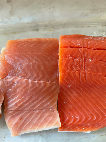 Comparing meat color. Keta salmon on the left and coho salmon on the right