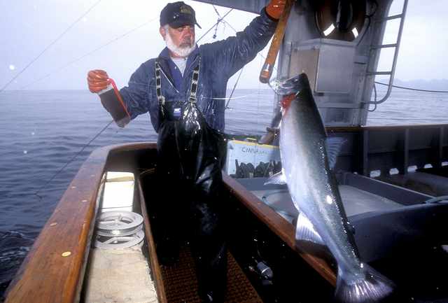 Troll-caught salmon  Alaska Gold Seafood
