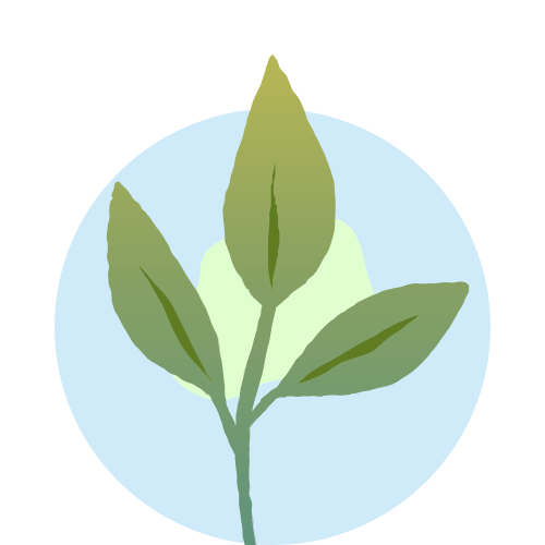 MATRATVA_ORGANIC_PRODUCTS