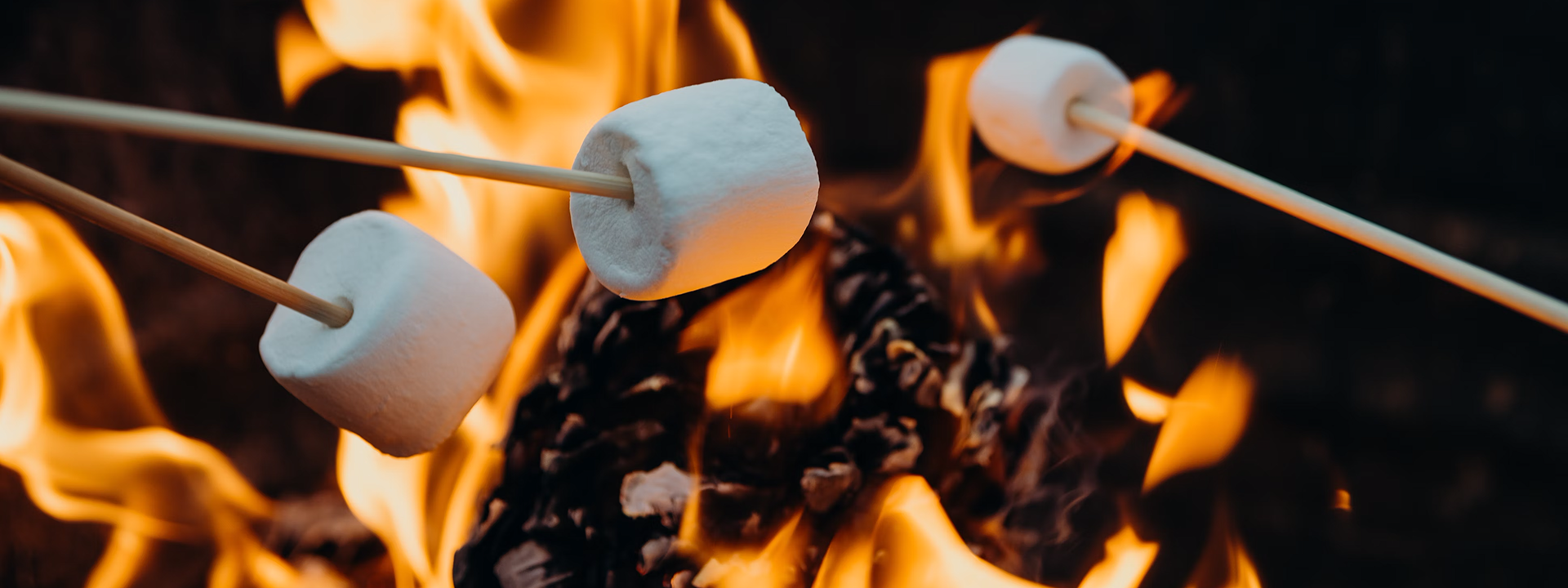 S'mores around the fire