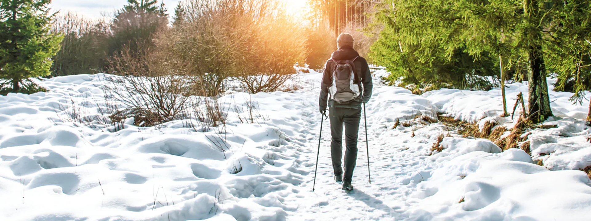 Snowy Hike