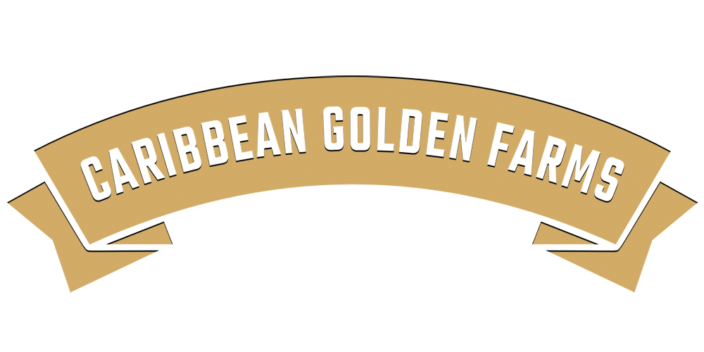 Caribbean Golden Farms