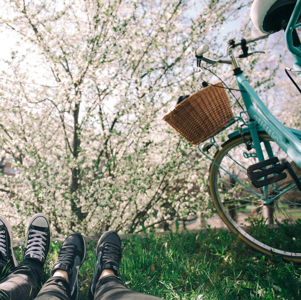 Turqouise bicycle with a basked on a lush green meadow infront of a blooming apple tree.