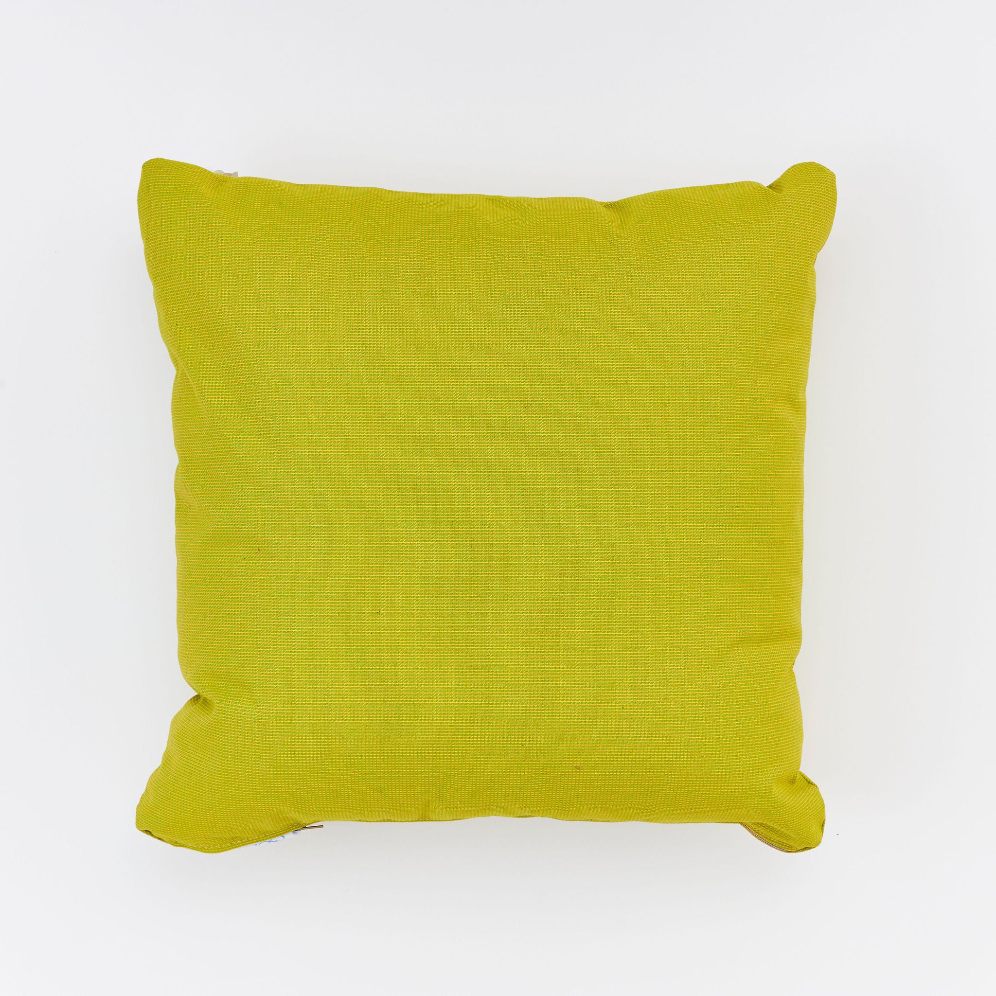  18" Pillow - 614 Rain Citrus - knife edge 