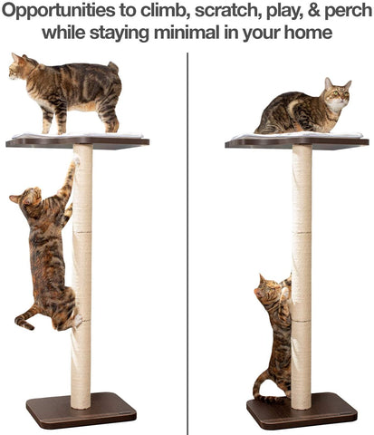 tall cat scratching post