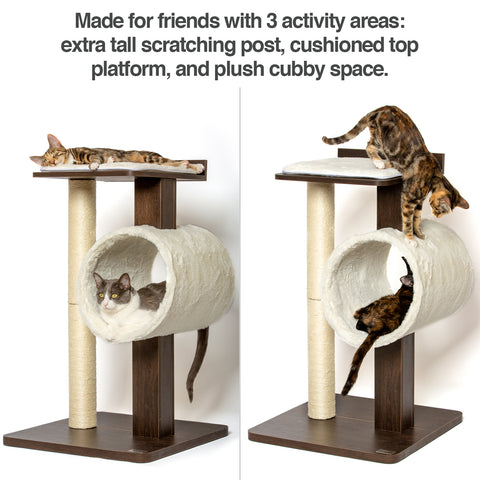 cat activity tree