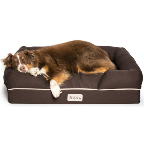 petfusion dog bed large