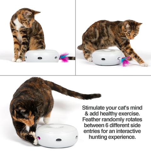 ambush interactive cat toy