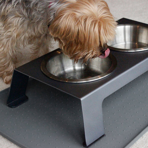 do raised dog bowls help