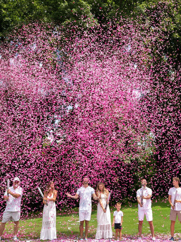 Gender Reveal Cannon