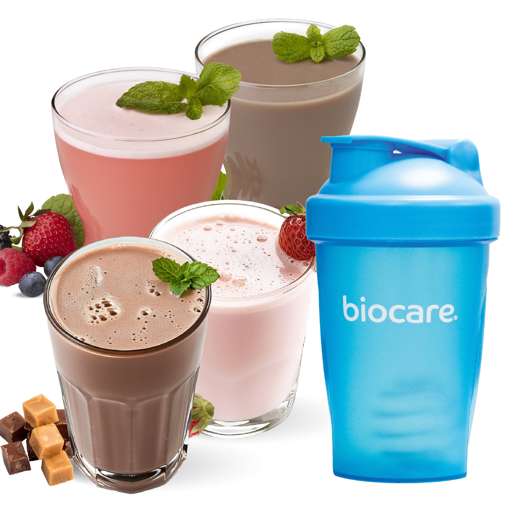 Four Flavor Biocare Bundle