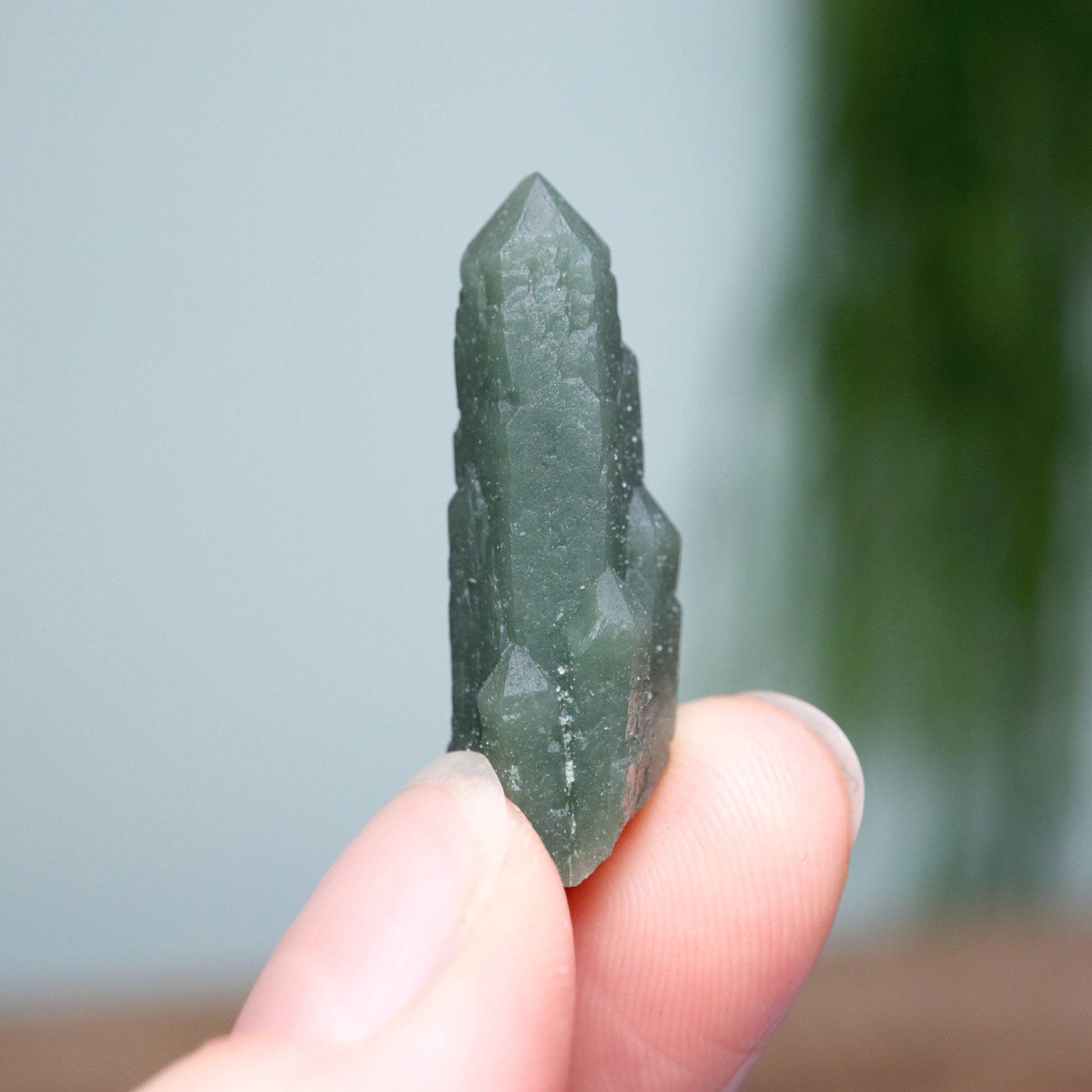 Onweersbui de begeleiding Aanpassing Groene hedenbergiet kwarts – Mystical Minerals