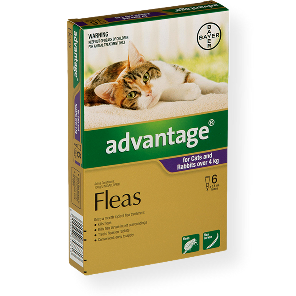 Advantage Spot On Large Cat Flea Treatment 4-10kg - affectionpets Cat Pharmacy