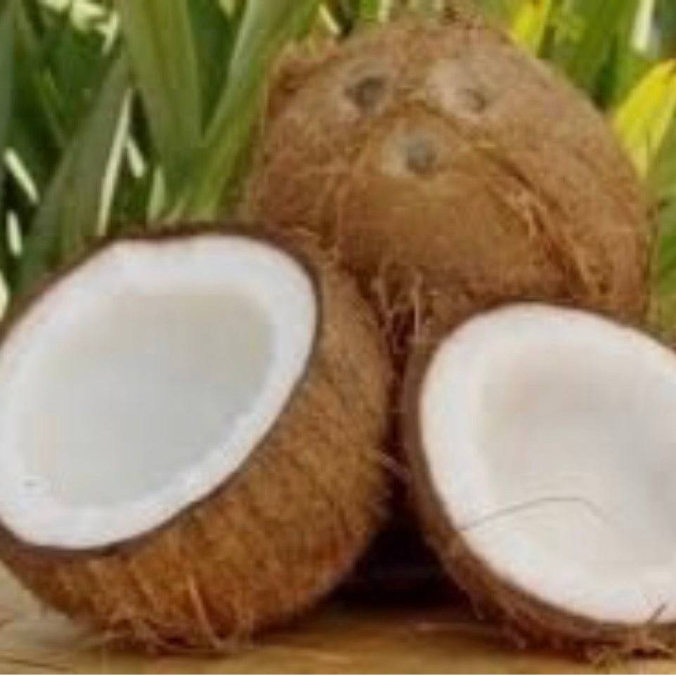 Coconut 1