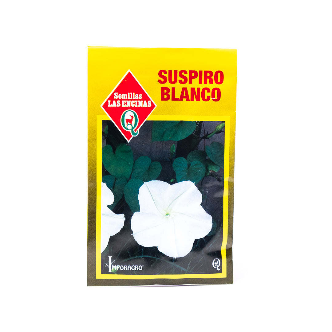 Semillas de Flores Suspiro Blanco – Enjardinate