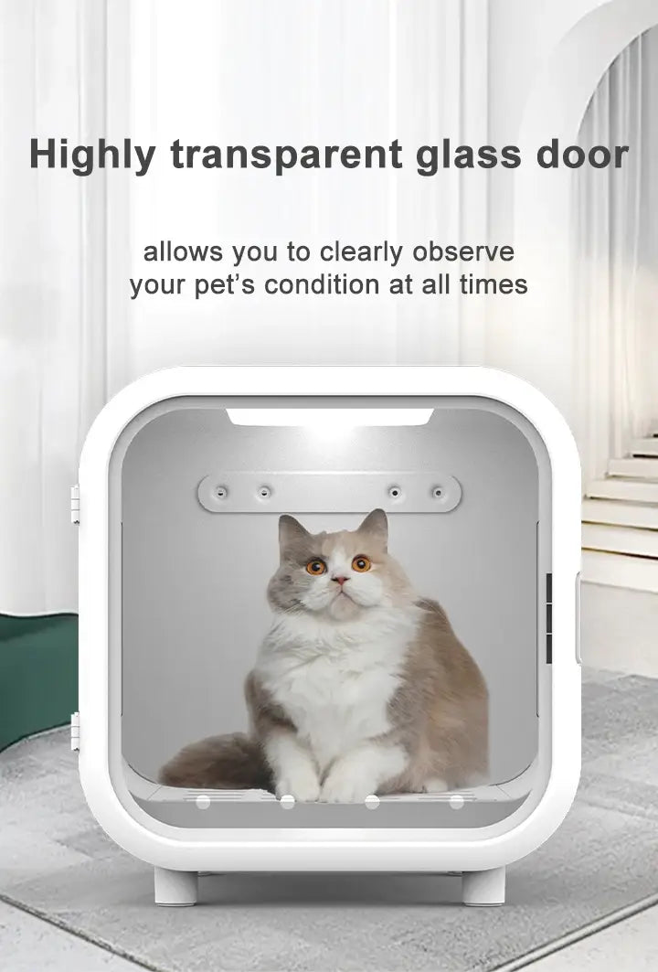 Cat oxygen therapy chamber I oxygen generator concentrator