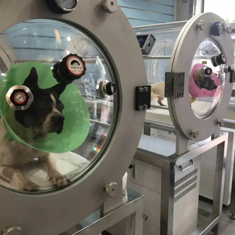 Pet hyperbaric oxygen chamber I hyperbaric chamber oxygen