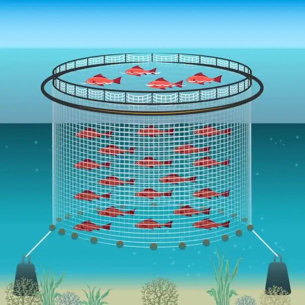 10-40m Round HDPE fish floating farming aquaculture cage