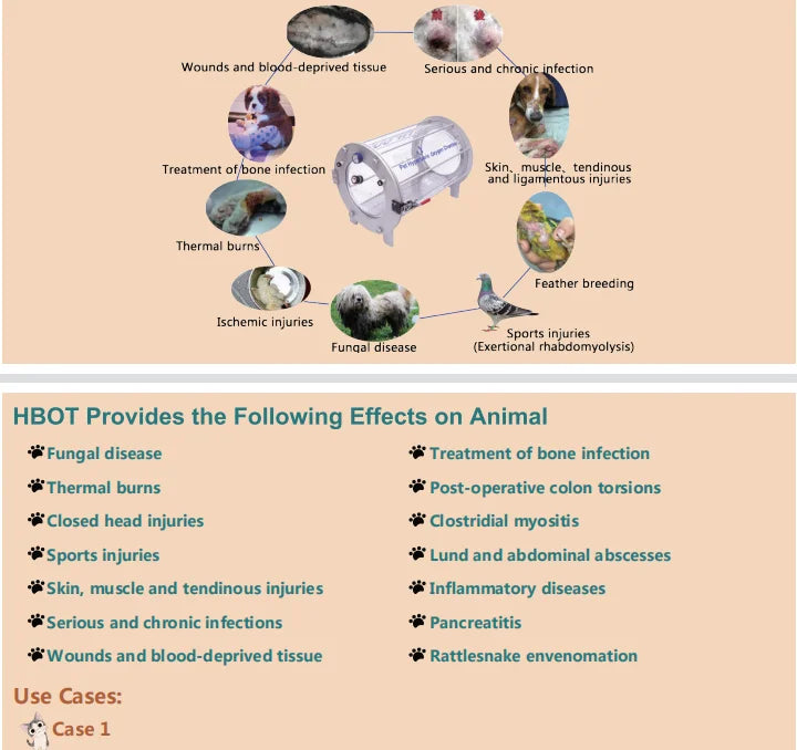 Pet hyperbaric oxygen chamber I hyperbaric chamber oxygen