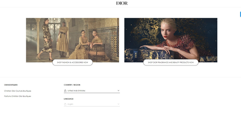 Dior's Homepage Picture as an example