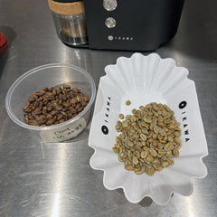 green coffee sample roast