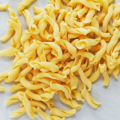 Creste di Gallo pasta, luxuriously smothered in creamy taleggio