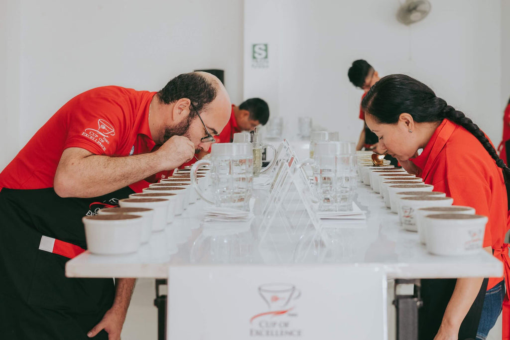 Coffee cuppers at Cup of Excellence in Peru