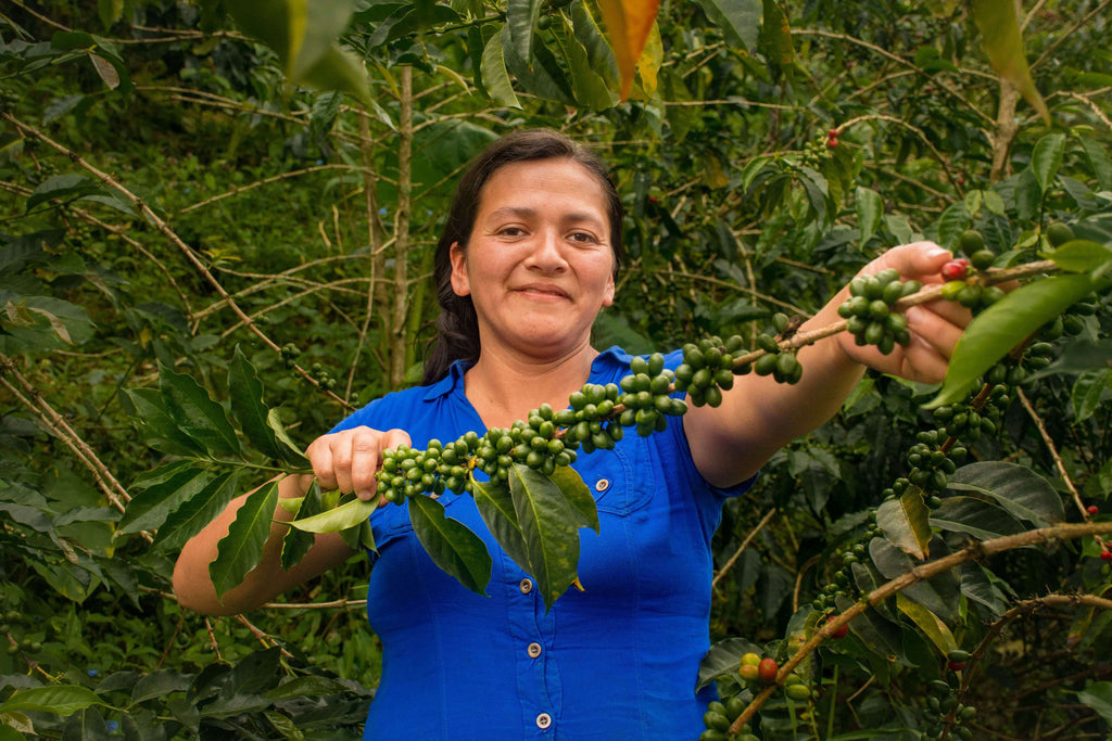 Luz Nelly at her farm with coffee tree