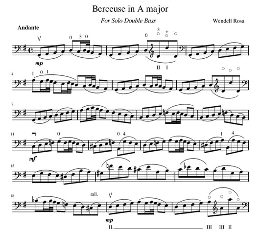 Berceuse pour bébé hippopotame Double Bass Sheet Music by Serge