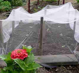 cheese cloth for covering plants