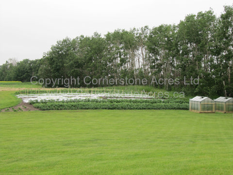 July 2012 Cornerstone Acres Ltd.