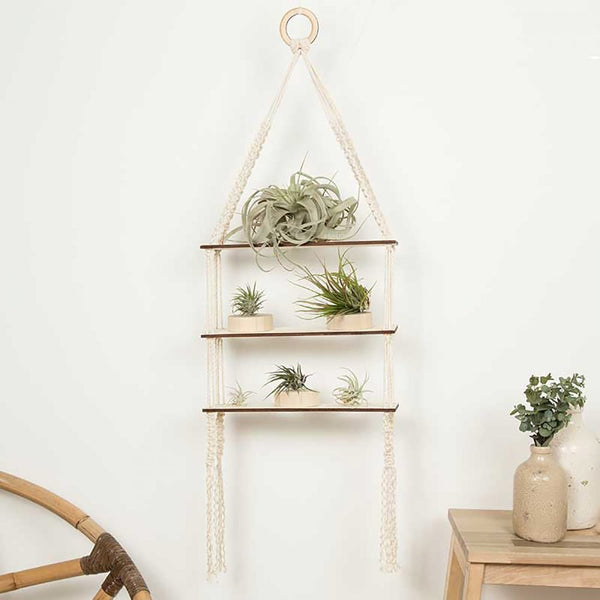 DIY Macrame Kit for Adults Beginners, 4 Macrame Plant Hanger Kit + Froocy Macrame Starter Kit Includes: 100% Cotton Macrame Cord 3 mm + 4 Wooden