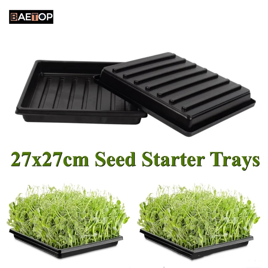 5 Pack of Durable Black Plastic Growing Trays (Without Drain Holes) 21 X  11 X 2 - Flowers, Seedlings, Plants, Wheatgrass, Microgreens & More