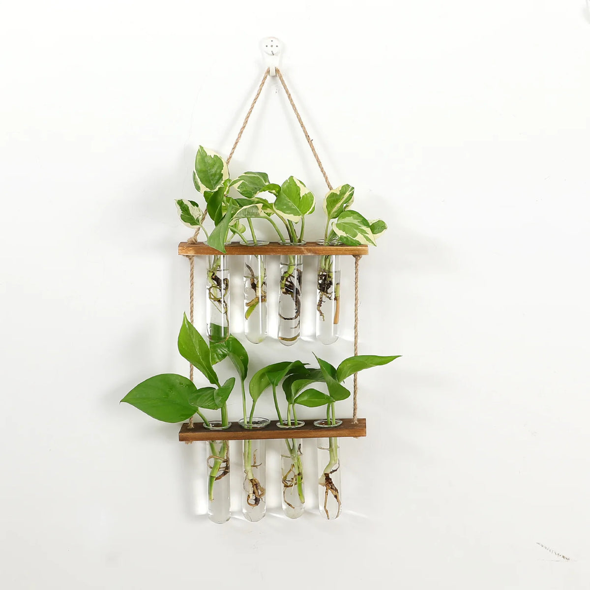 Wall Mounted Hanging Decorative Planter Test Tube Flower Bud Vase for  Indoor Propagating Hydroponic Plants - China Wall Mounted Hanging Planter  Test Tube Vase, Planter Test Tube Flower Bud Vase for Plants
