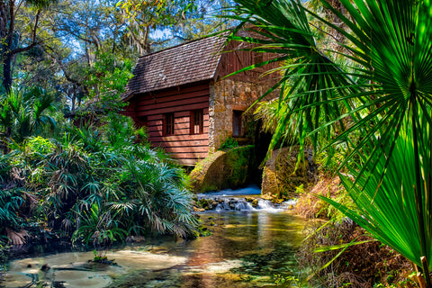 Juniper Springs | Florida Springs Passport