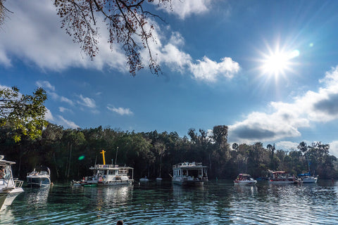 Silver Glen Springs | Ocala National Forest | Florida Springs Passport