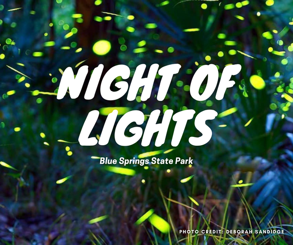 Night of Lights | Blue Springs State Park | Florida Springs Passport