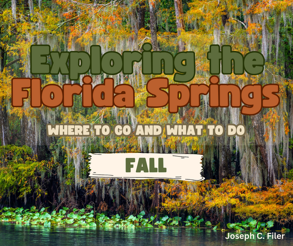 Exploring the Florida Springs in Fall | Where to go and What to do